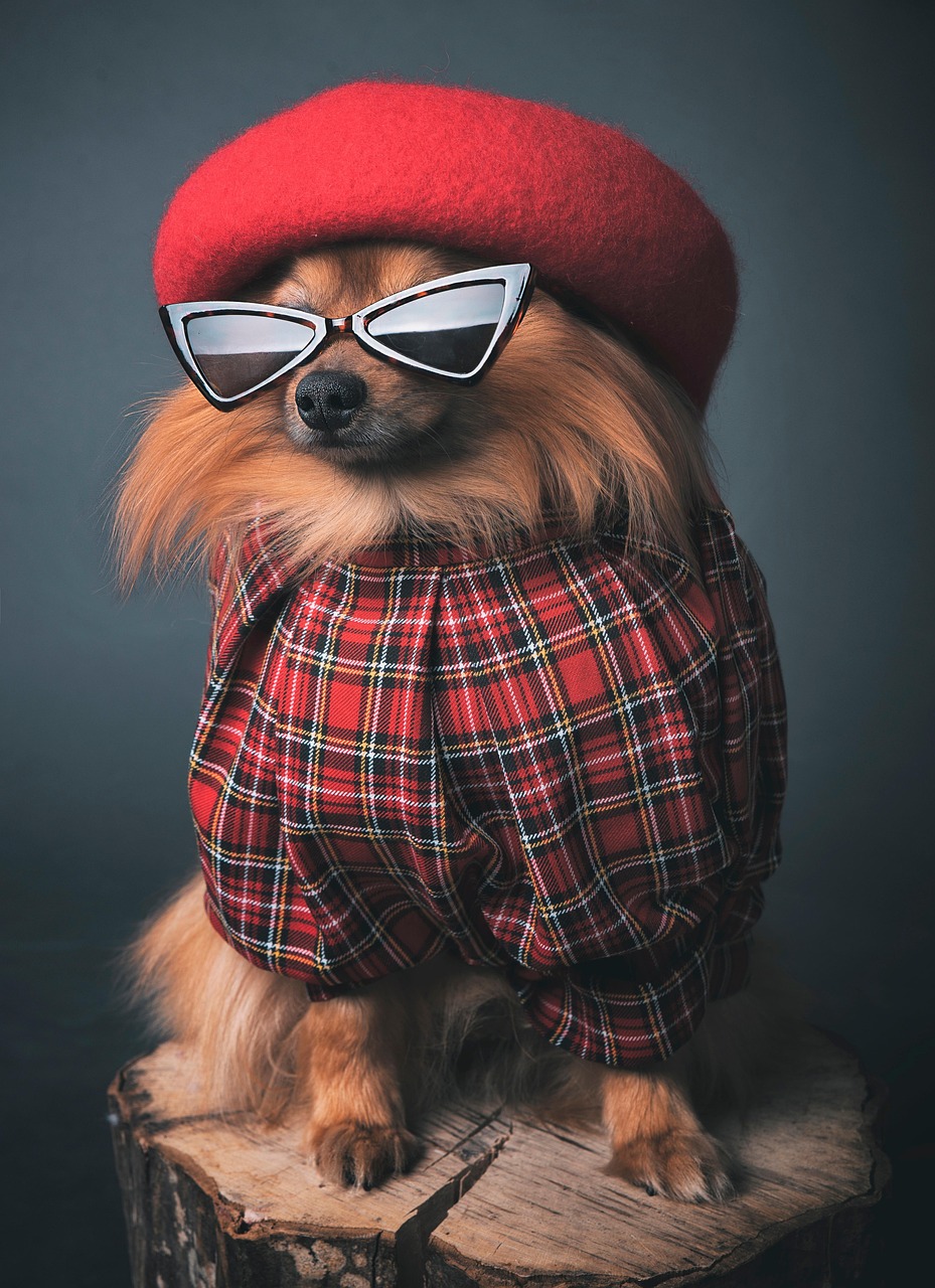 picture of dog